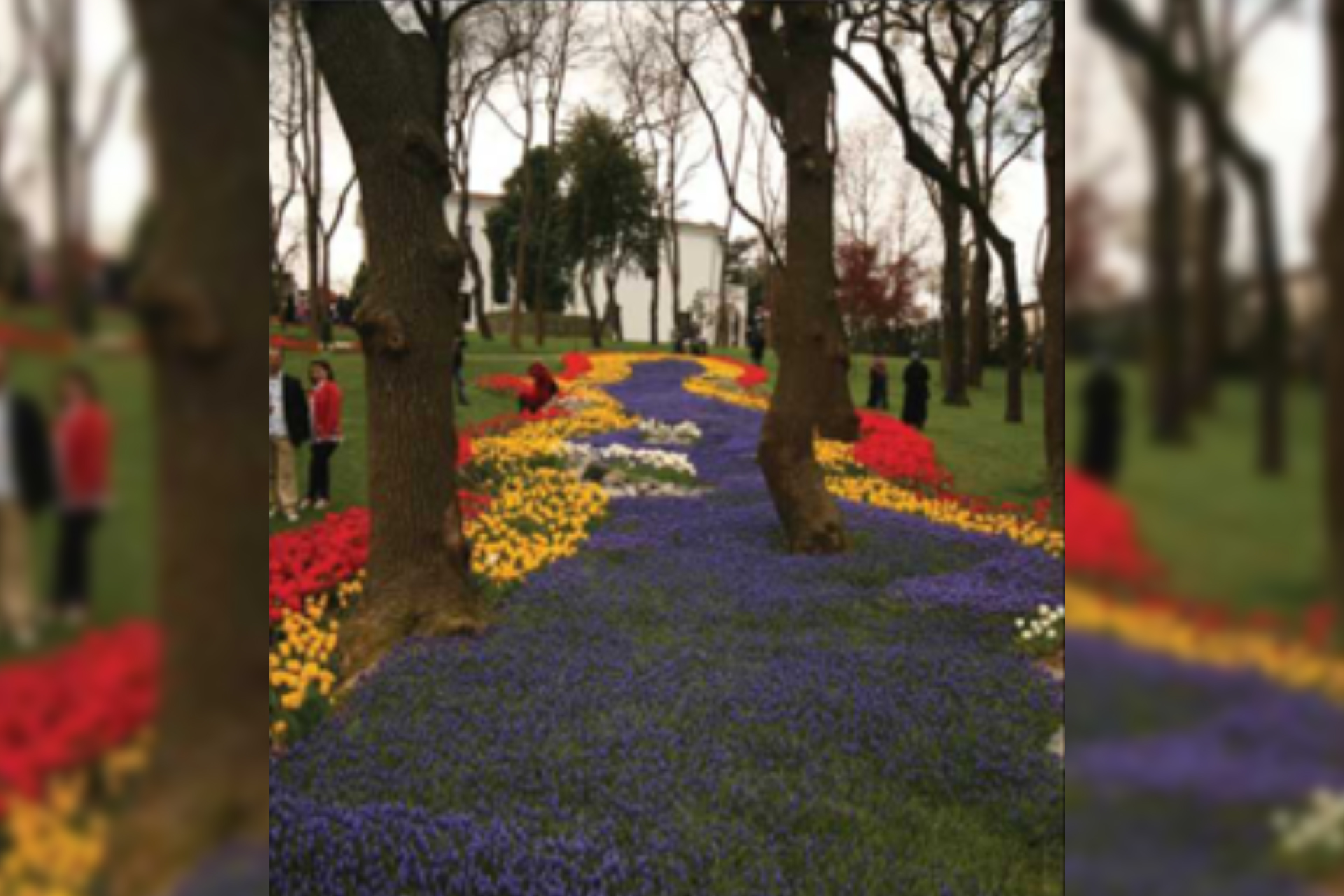 Emirgan Korusu Çevre Düzenlemesi - 1