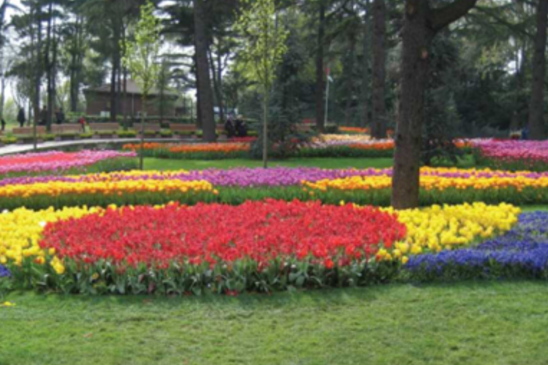 Emirgan Korusu Çevre Düzenlemesi - 2