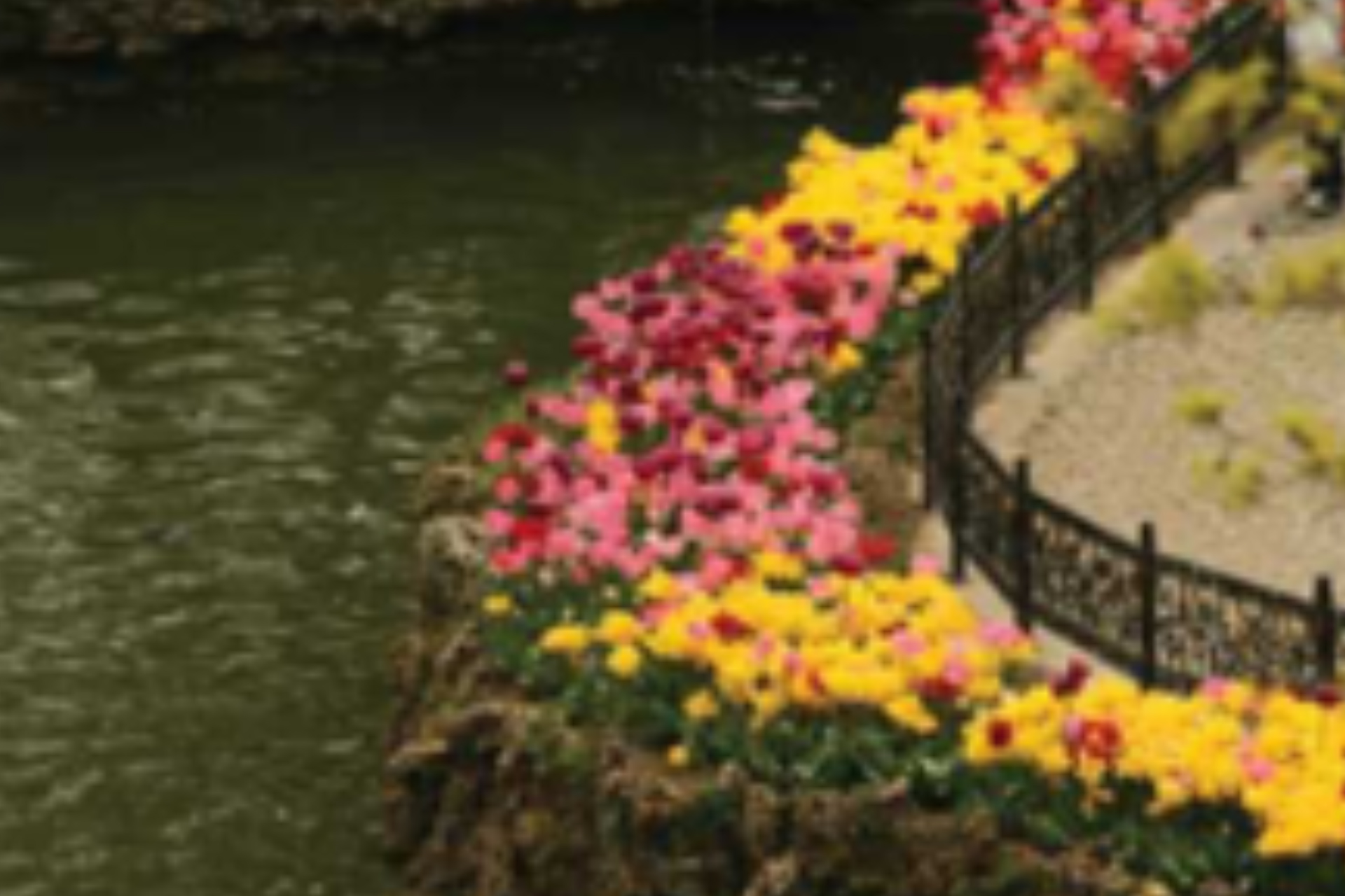 Emirgan Korusu Çevre Düzenlemesi - 4