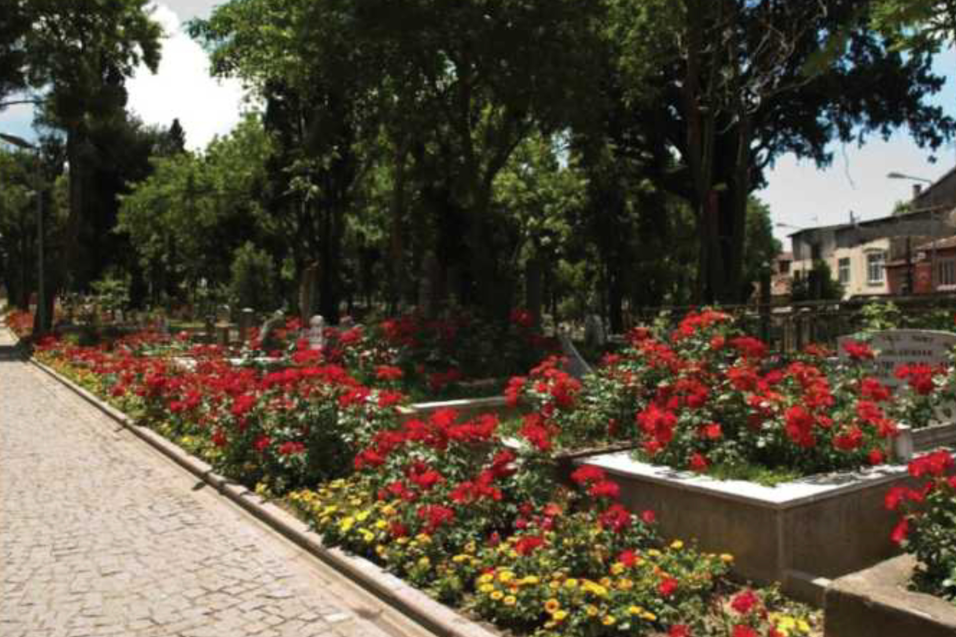 Sarıyer, Kağıthane, Eyüp Mezarlıkları Bakım ve Yapım İşi - 1