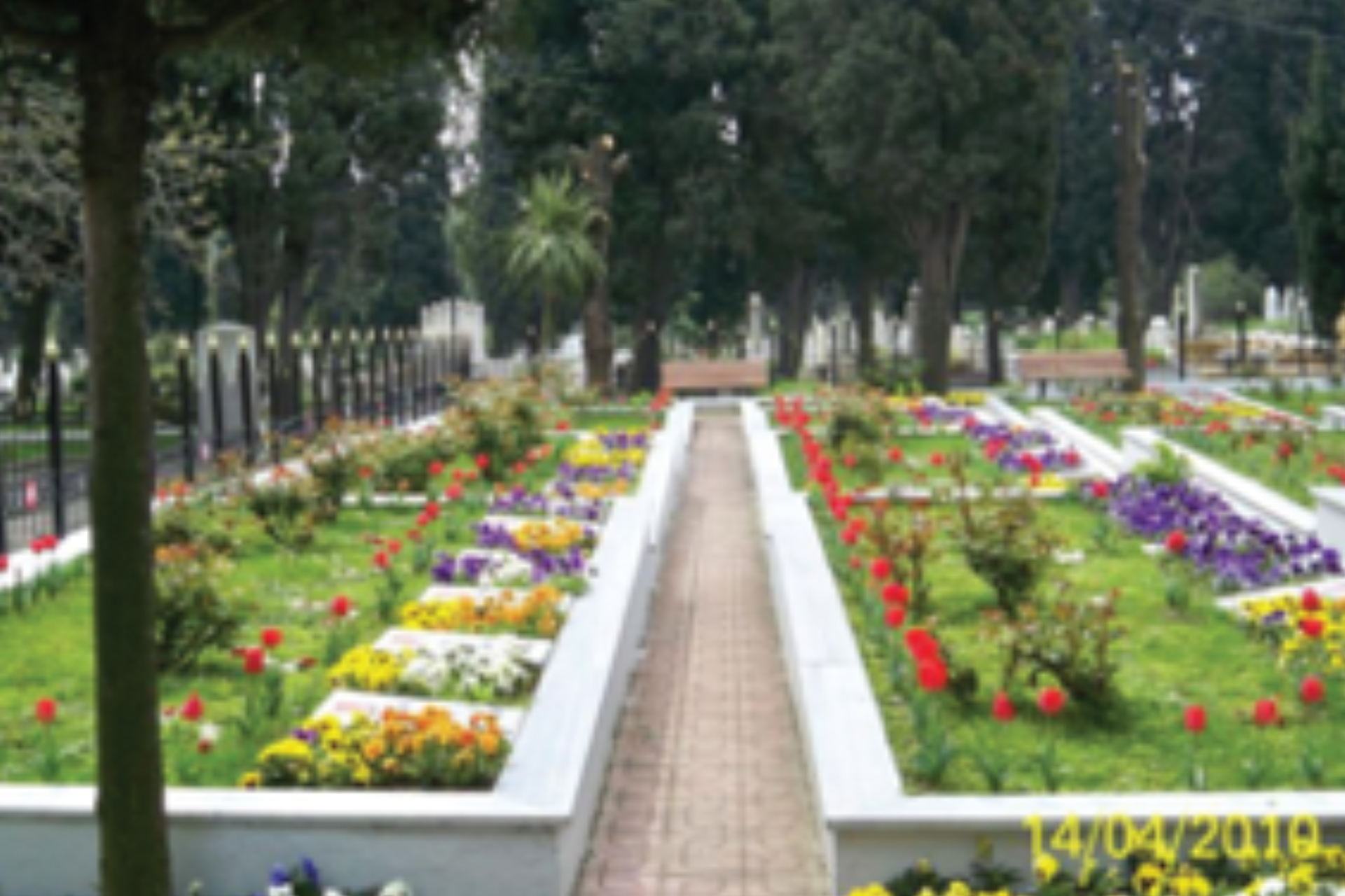 Sarıyer, Kağıthane, Eyüp Mezarlıkları Bakım ve Yapım İşi - 3