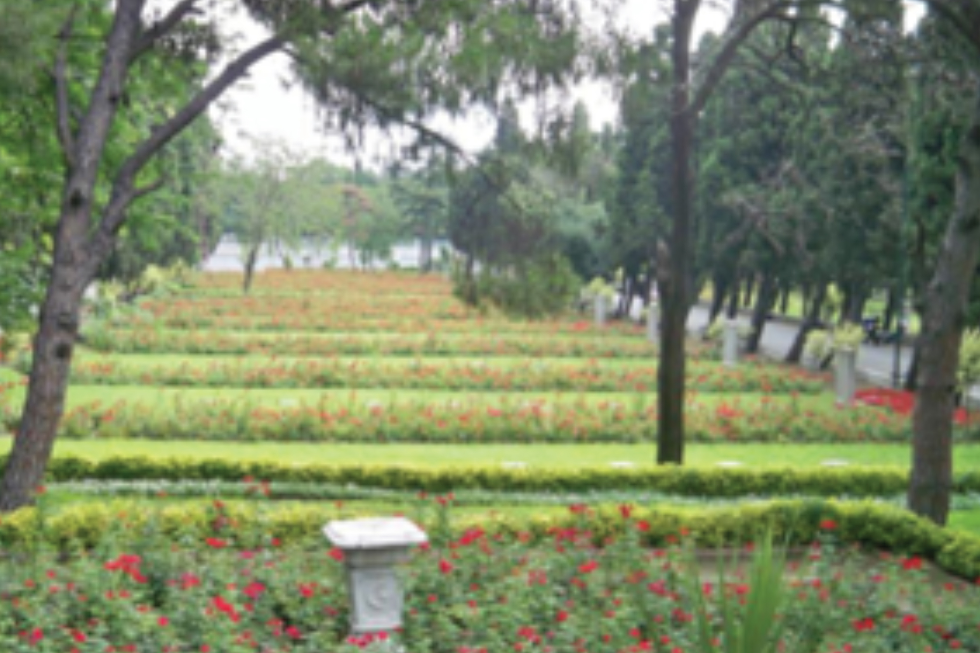 Sarıyer, Kağıthane, Eyüp Mezarlıkları Bakım ve Yapım İşi - 4