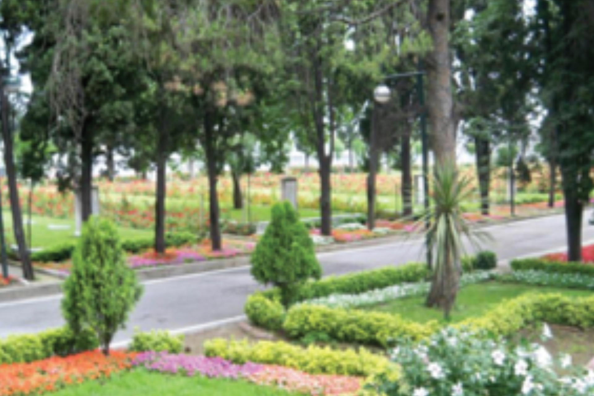 Sarıyer, Kağıthane, Eyüp Mezarlıkları Bakım ve Yapım İşi - 5