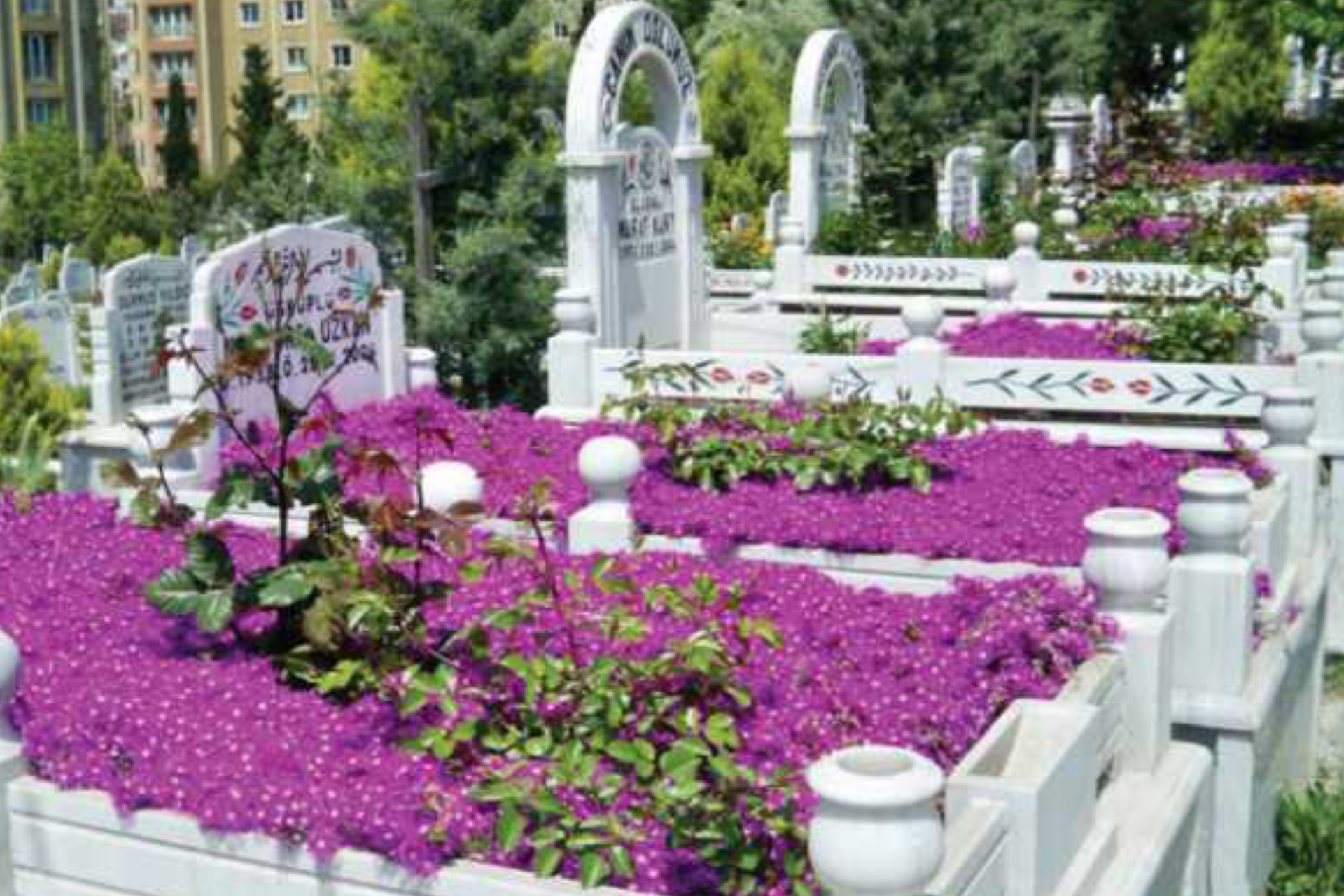 Sarıyer, Kağıthane, Eyüp Mezarlıkları Bakım ve Yapım İşi - 6